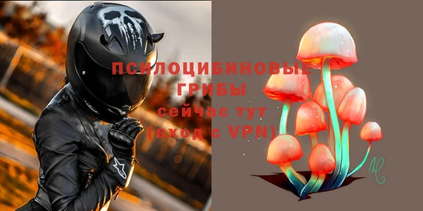 apvp Алексин