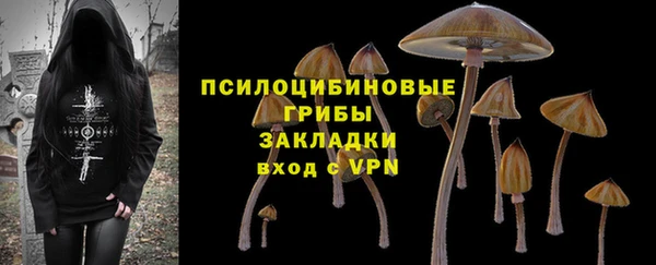 apvp Алексин