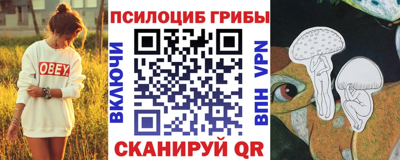 закладка  площадка телеграм  Псилоцибиновые грибы ЛСД  Андреаполь 