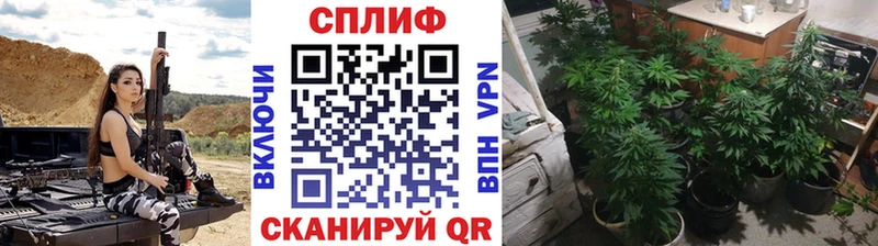 как найти закладки  Андреаполь  Конопля AK-47 